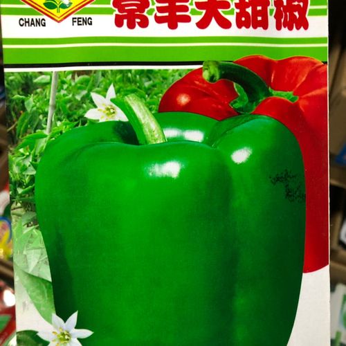 特大甜椒种子大椒青椒灯笼椒菜椒辣椒种子 阳台春秋冬季蔬菜种子