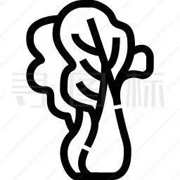 白菜图标