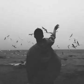 2019微信黑白头像男生冷酷霸气 链子再好也拴不住想跑的狗