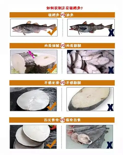 如何识别正宗的银鳕鱼?
