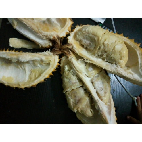 枕头榴莲9-10斤(约1-2个)新 新鲜水果 进口商品评价 > 什么***,全烂了