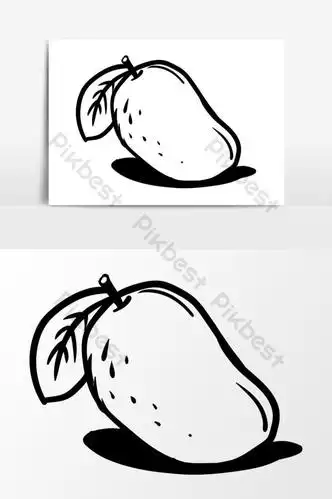 芒果在白色背景上画图矢量