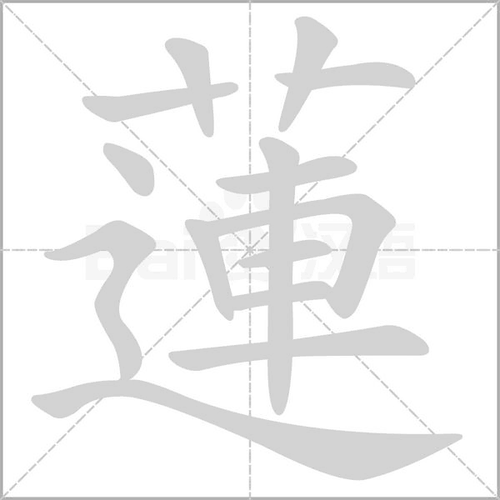 莲字笔顺笔画顺序莲的正确笔顺怎么写