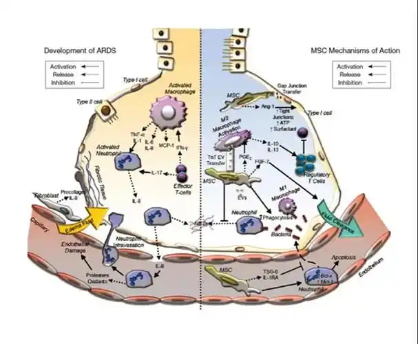 扬帆启航,蓄力前行丨易文赛生物公司干细胞药物完成首例受试者入组! 2