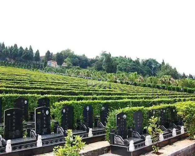 购买的公墓到期后,如果没有人续费,骨灰将如何处理?