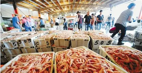 渔民们正在温岭石塘镇钓浜海鲜交易市场交易第一网新鲜渔货.