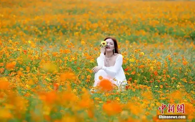 武汉"金色"花海醉游人