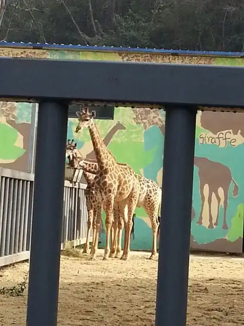 诸仙洞野生动物园