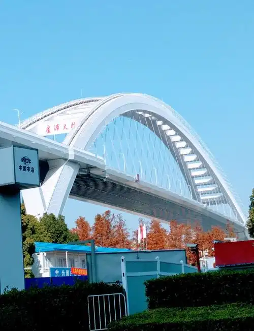 卢浦大桥.小河淌水