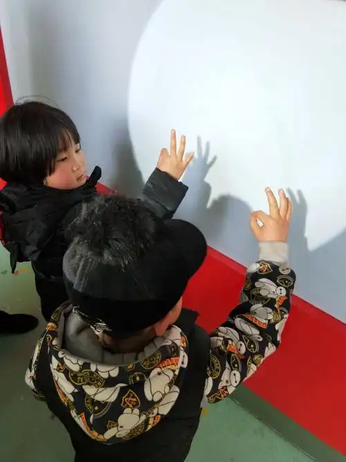 中二班小朋友感受手影的魅力