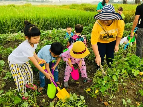 《爱就是陪伴》陵水县映山红幼儿园2019年春季亲自然挖地瓜活动(副本)