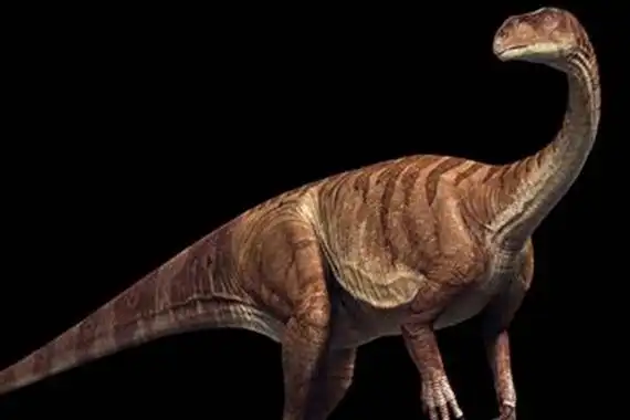 板龙最原始的巨型植食恐龙生于三叠纪长8米