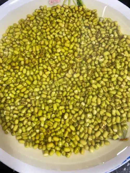 写了5天的豆芽观察日记后,终于可以丰收上桌了!