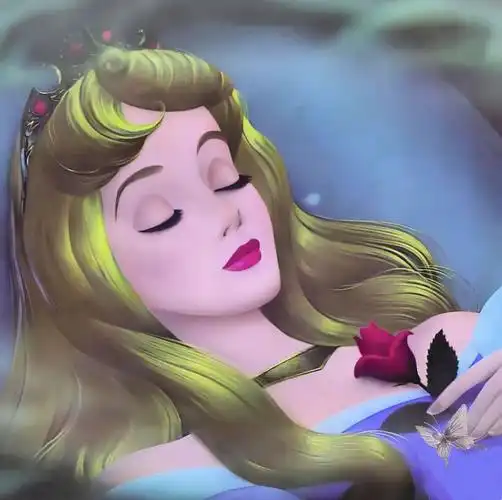 迪士尼公主奥罗拉爱洛