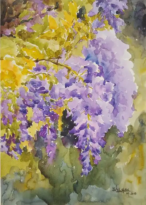 《紫藤》  纸本水彩 50cmx40cm