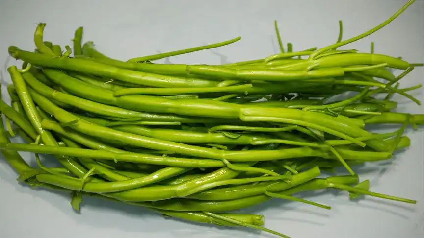 空心菜杆这样吃  酸辣开胃  超级下饭