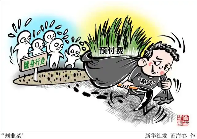 (图表·漫画)【体育】"割韭菜"