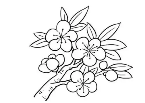 桃花儿童画怎么画 桃花简笔画顺序 - 水彩迷