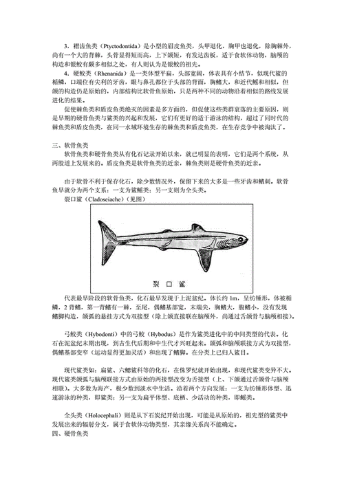 鱼类起源与进化.doc