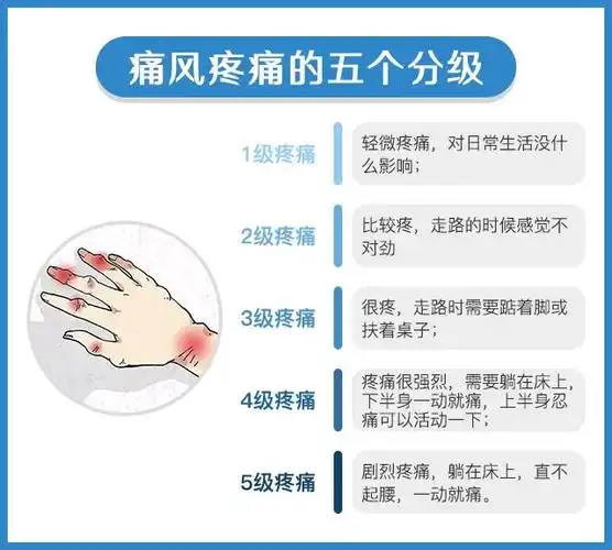 胆囊|痛风总吃止痛药好不好?要吃到什么时候? 疾病|胆结石|胆固醇