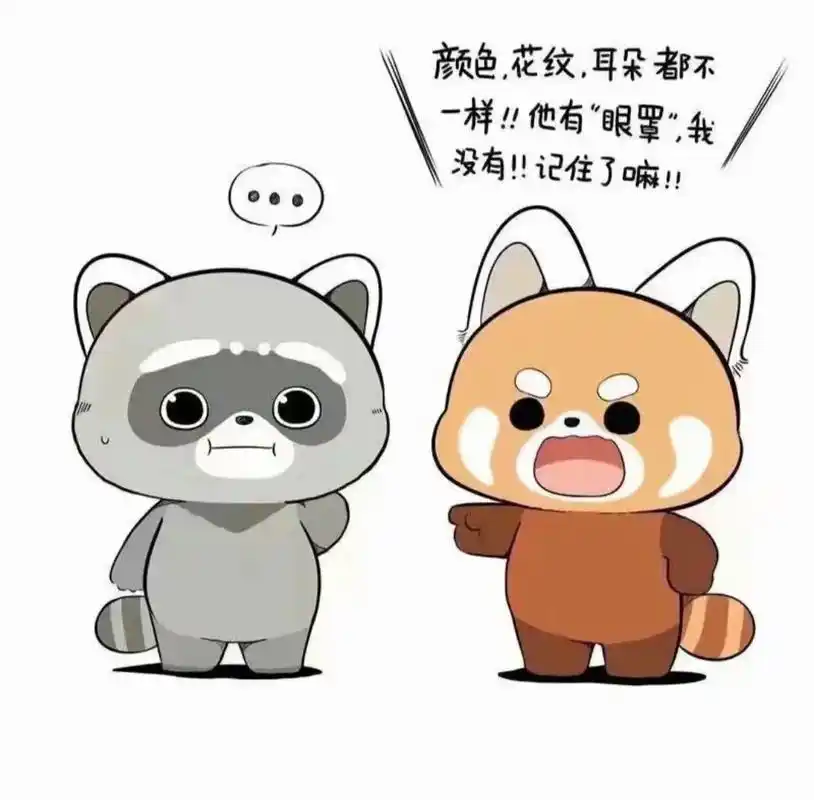 我看看是谁还在把小熊猫和小浣熊搞混98 (动漫图片来自微博, - 抖音