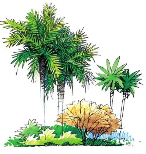 如何轻松画好景观手绘?-景观设计-筑龙园林景观论坛
