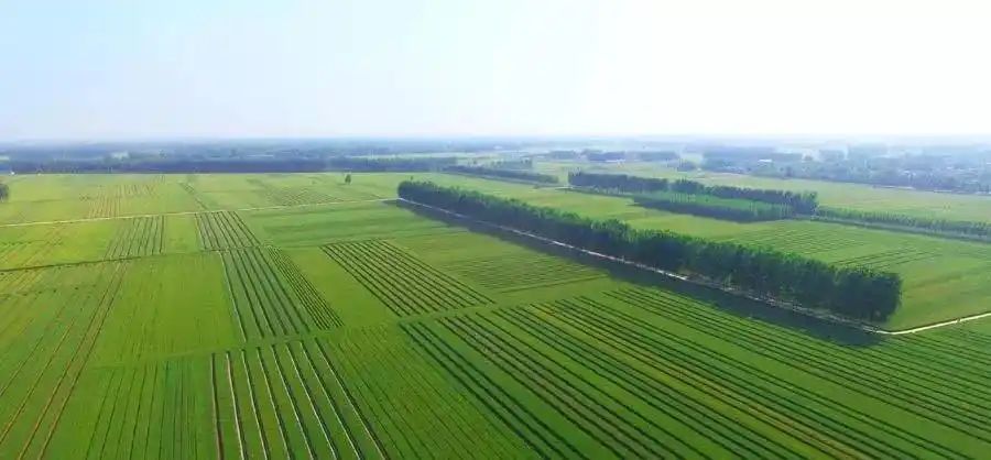 河南东部是豫东平原 ,而西部则是黄土高原,著名的"中原煤城"平顶山,就
