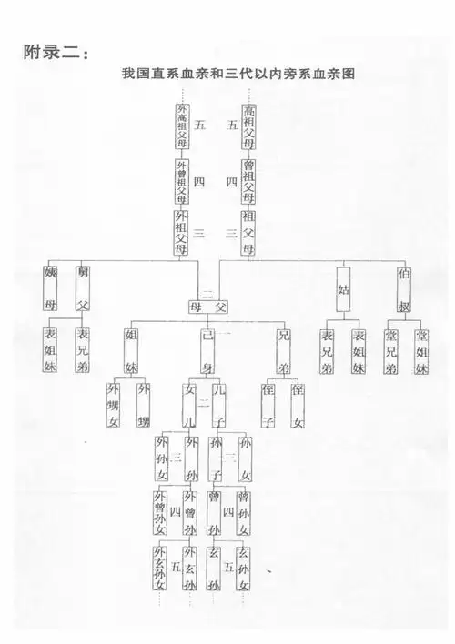 我国直系血亲和三代以内旁系血亲图