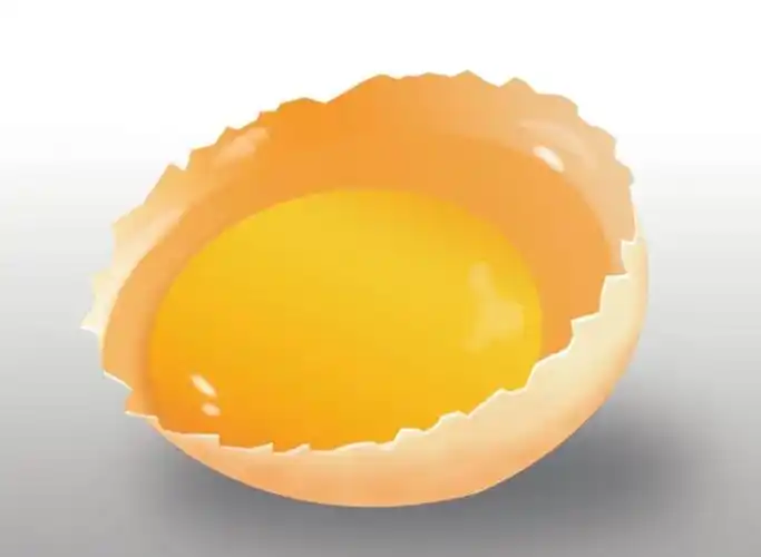 嘉禾教育【居家同防疫,亲子共成长】–––小班语言《半个蛋壳》(五)