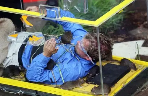 wonder if holly willoughbys behind major change to bushtucker