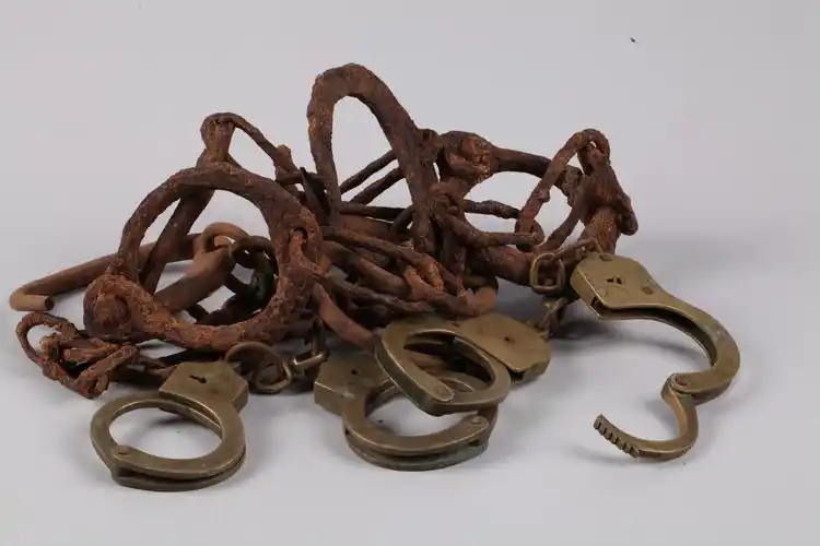 澄海区人民政府门户网站 重点领域信息公开 文化机构信息公开大革命