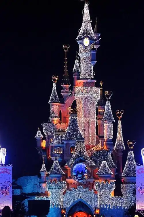 迪斯尼乐园美丽的夜景,城堡,灯光