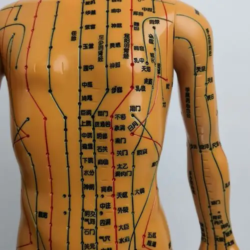 针灸穴位人体模型人中医经络小铜人全身高清刻字可施针练习模型