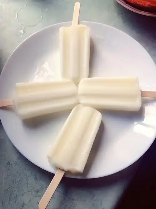 水底河鲫鱼做的老冰棍