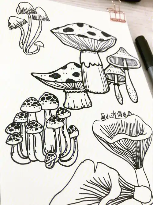 🍊手绘|doddle|简笔画|蘑菇