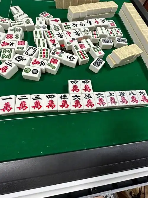 连麻将都是清一色一条龙!