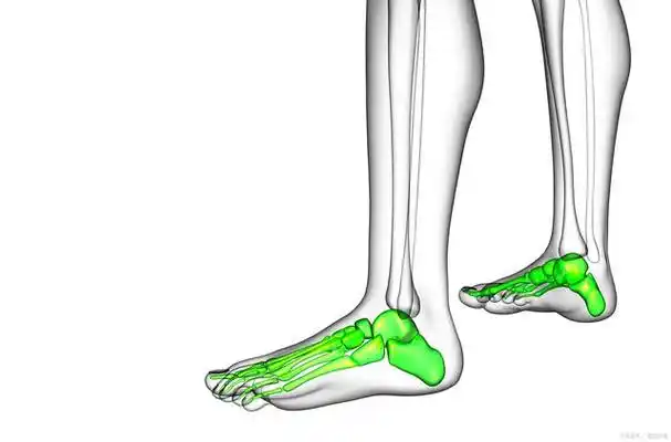 脚踝前面疼痛是什么原因?