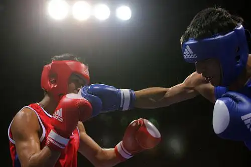 图文:国际拳击邀请赛 红蓝双方的激情对抗