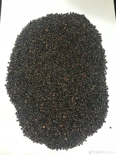 水红花子炒水红花子本品为蓼科植物红. 来自紫草puccoon - 微博