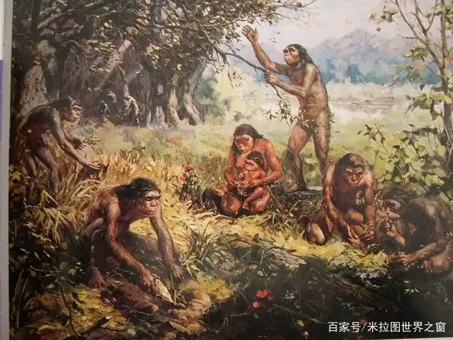 北京猿人群居生活