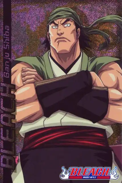 p>志波岩鹫,日本漫画《 a data-lemmaid="5460">死神 /a>》及其衍生