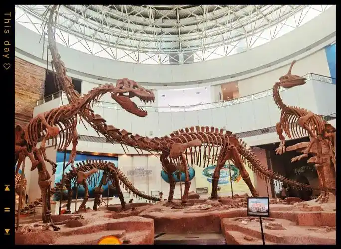 避暑带娃打卡福州市博物馆恐龙化石