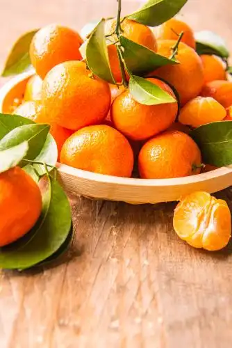 新鲜的沙糖桔 黄皮蜜橘