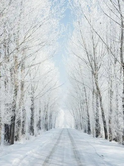 东北长春雾凇白色的村庄