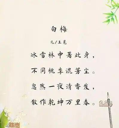 白梅古诗的意思,白梅这首古诗的意思是什么图1
