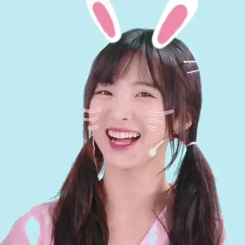 我要盖本组最全的nene郑乃馨表情包大楼进来笑