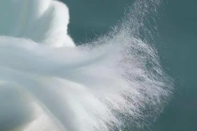 粘纤面料(你知道什么是黏胶,粘纤吗?粘胶纤维有哪些分类及应用?