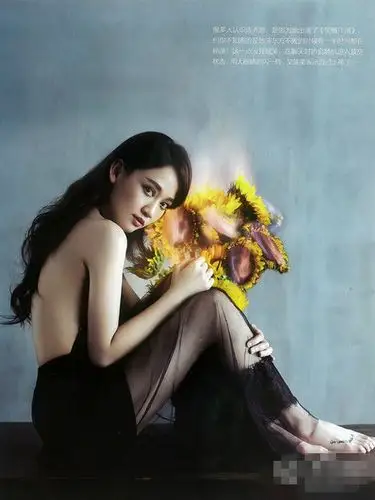 陈乔恩着黑色蕾丝内衣拍写真 散发迷人妩媚气息(组图)