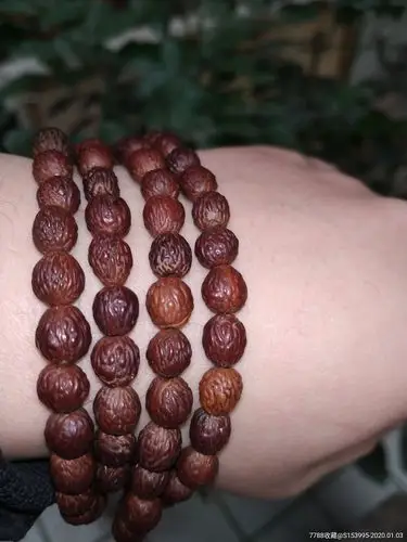 农村收的深山老枣核野枣核佛珠