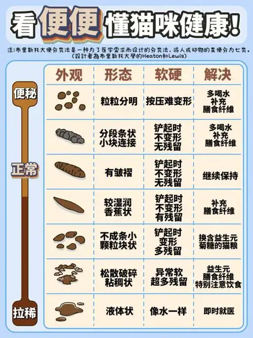 今天给新手养猫的宝宝,详细讲解猫咪的"各种"便便详情!建议提前收藏!